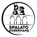Spalato Dobermans